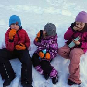 Stine, Familie i Ringsaker