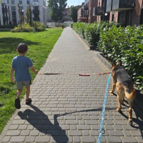 Dorota, Rodzina, Wrocław