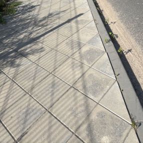 Daria, Rodzina, Toruń