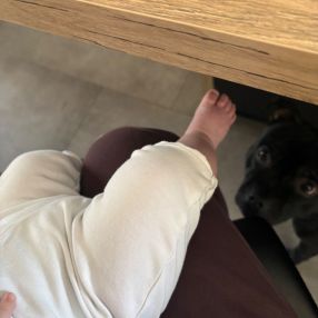 Daria, Rodzina, Żory