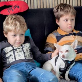 Lukas, Rodzina, Września