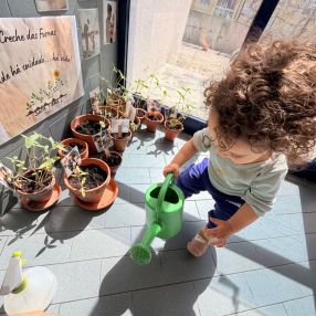 Iris, Family in Casal de Cambra