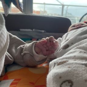 Ana, Família em Aveiro