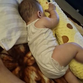 Adina, Familie în Dobroești