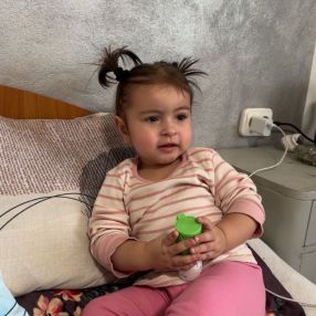 Ghera, Family in Caransebeș