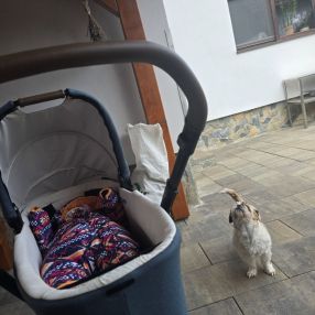 ADRIANA, Family in Mediaș