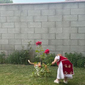 Horvath, Familie în Timișoara