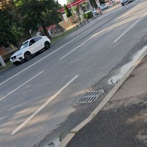 Lacra., Familie în Brăila