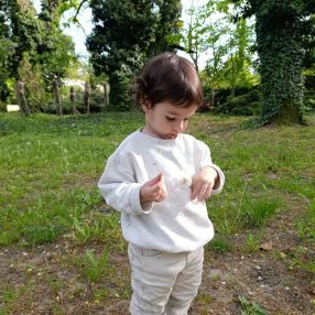 Radu, Familie în Craiova