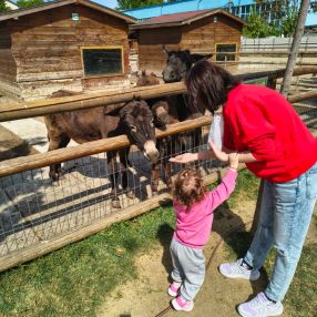 Tunde, Family in Oradea
