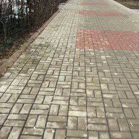 Floris, Familie în Botoșani