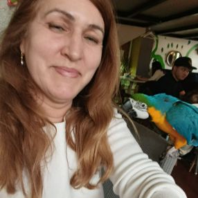 Victoria, Babysitter în Pantelimon