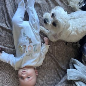 Andreea, Familie în Voluntari