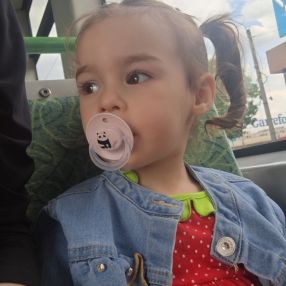 Pîrvu, Familie în Arad